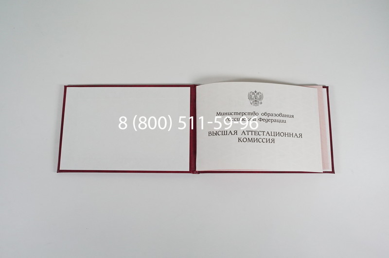Диплом доктора наук 1995-2006 года в Курске
