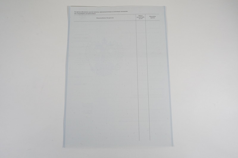 Диплом о начальном образовании 2007-2009 годов в Курске Диплом о начальном образовании 2007-2009 годов в Курске