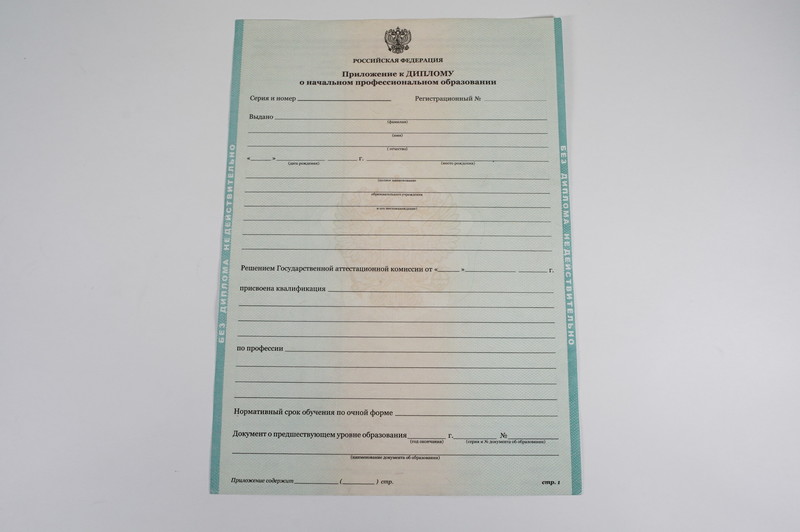 Диплом о начальном образовании  2010-2024 годов в Курске