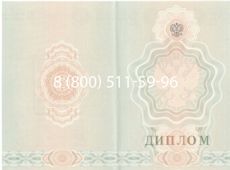 Купить Диплом ПТУ 2007-2010 годов в Курске Купить Диплом ПТУ 2007-2010 годов в Курске
