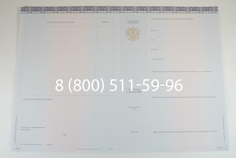Диплом специалиста (КИРЖАЧ) 2014-2024 года в Курске Диплом специалиста (КИРЖАЧ) 2014-2024 года в Курске