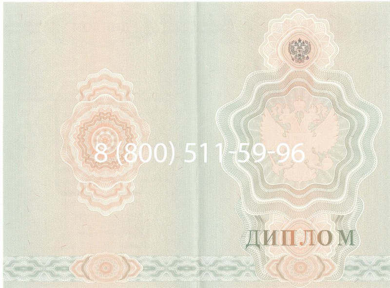 Купить Диплом училища 2007-2009 годов в Курске Купить Диплом училища 2007-2009 годов в Курске
